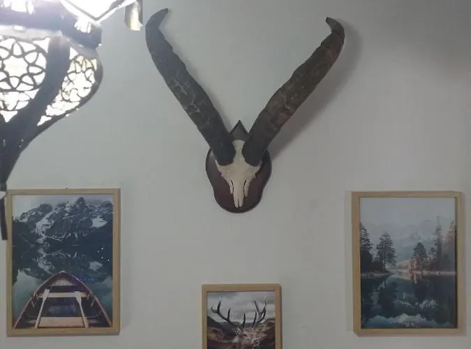 Casa vacanze Plaza Nueva *